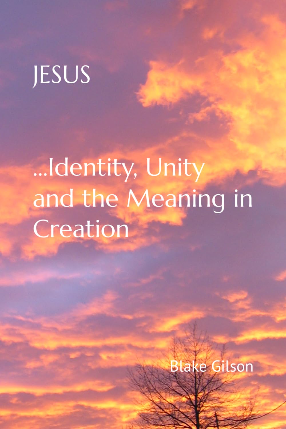 capítulo por capítulo baixar Jesus...Identity, Unity, and the Meaning in Creation