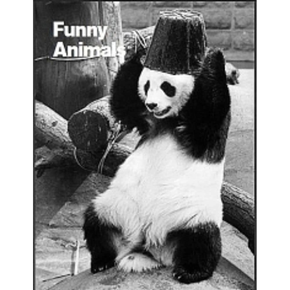Funny Animals