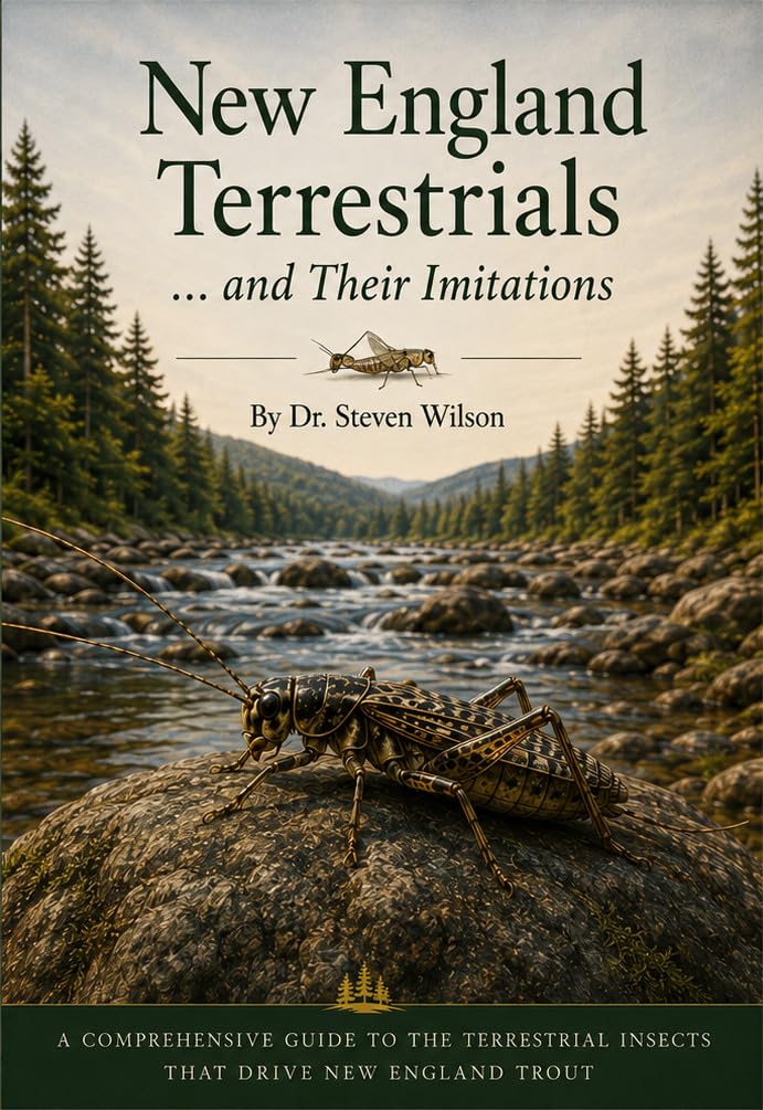 ler totalmente New England Terrestrials... and Their Imitations (English Edition)