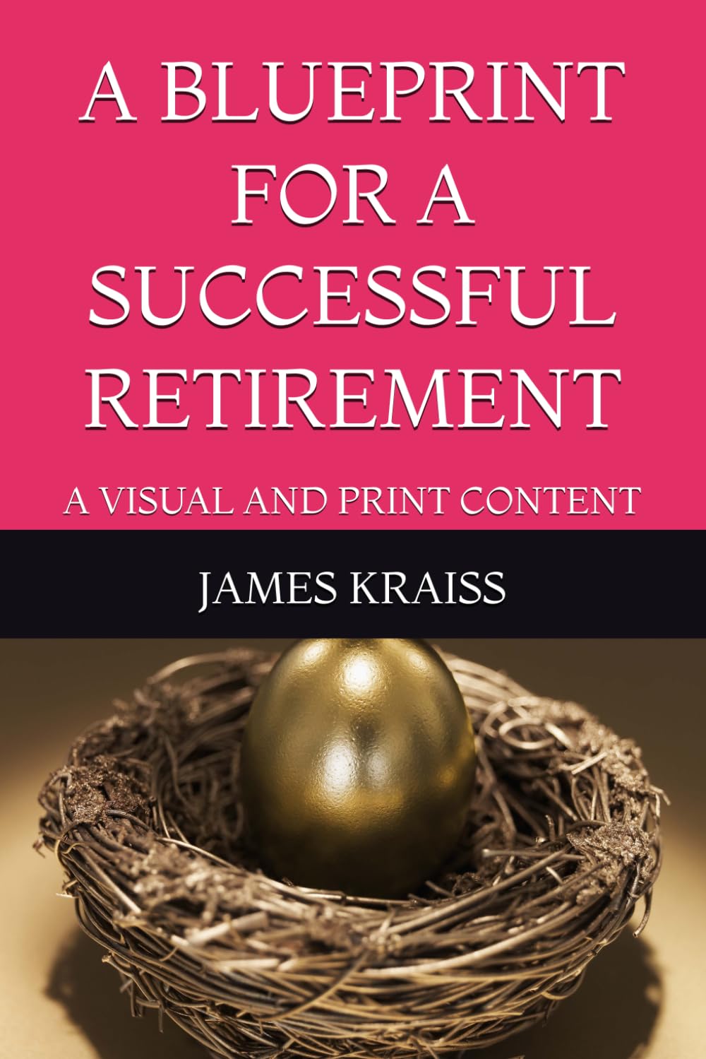 capítulo por capítulo baixar A BLUEPRINT FOR A SUCCESSFUL RETIREMENT: A VISUAL AND PRINT CONTENT