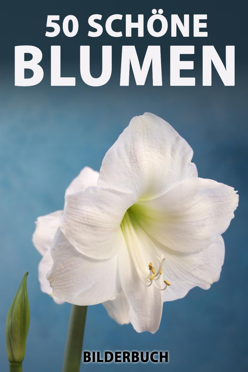 ler totalmente 50 schöne Blumen: Bilderbuch für Senioren mit Demenz (Großschrift) (Sanfte Beschäftigung) (German Edition)