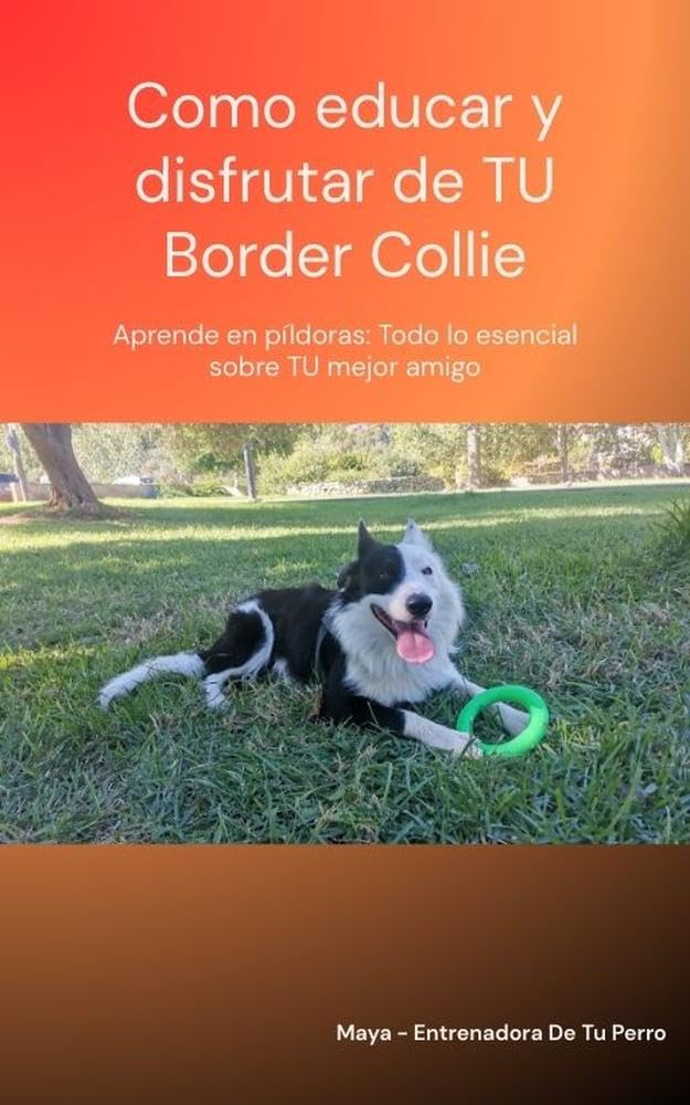 Cómo Educar y Disfrutar de tu Border Collie: Aprende en píldoras: todo lo esencial sobre TU mejor amigo (Spanish Edition) baixar o livro de graça