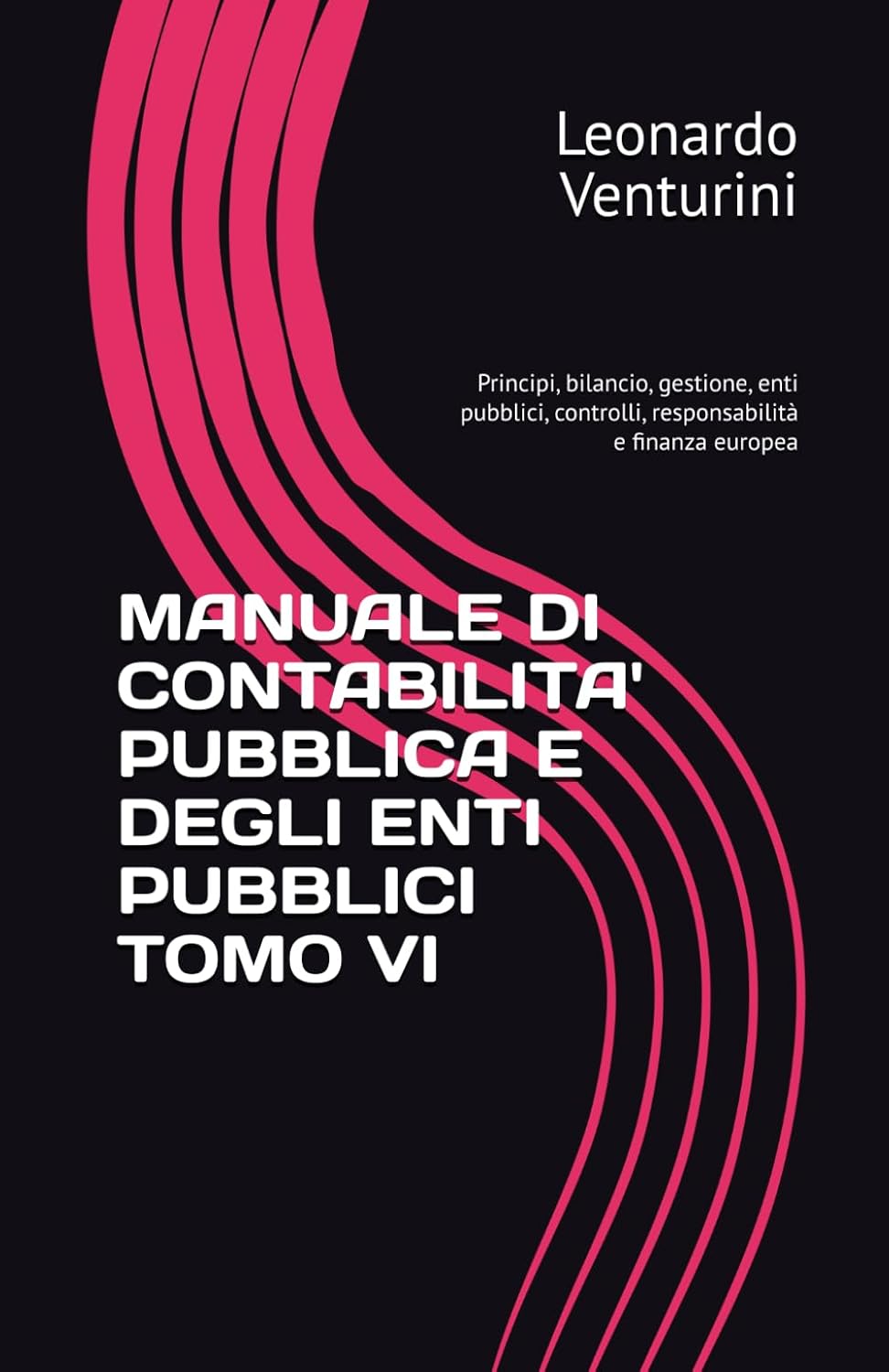 MANUALE DI CONTABILITA' PUBBLICA E DEGLI ENTI PUBBLICI TOMO VI: Principi, bilancio, gestione, enti pubblici, controlli, responsabilità e finanza europea (Italian Edition) baixar o livro de graça