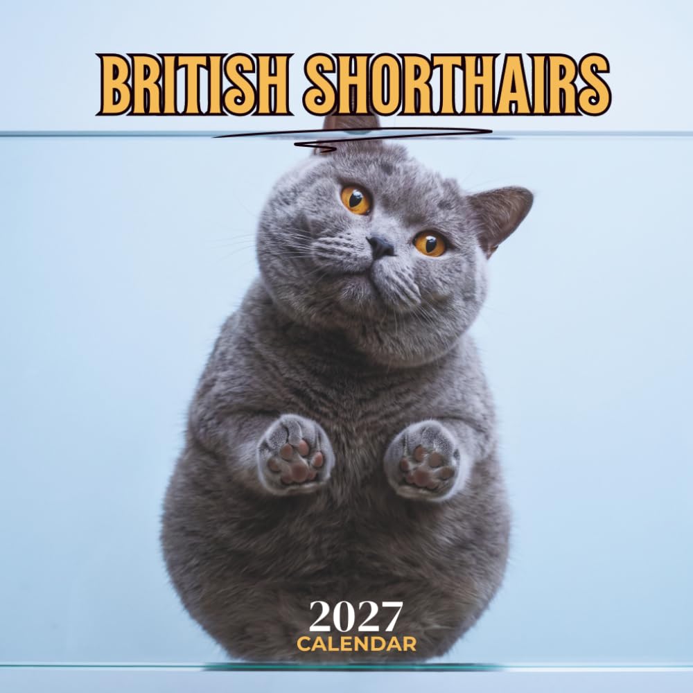 British Shorthairs 2027 Calendar: Round Faced Felines with Plush Coats in Seasonal Portraits, Monthly Grids, U.S. Holidays and Notes | 8.5 x 8.5 Inches baixar o livro de graça