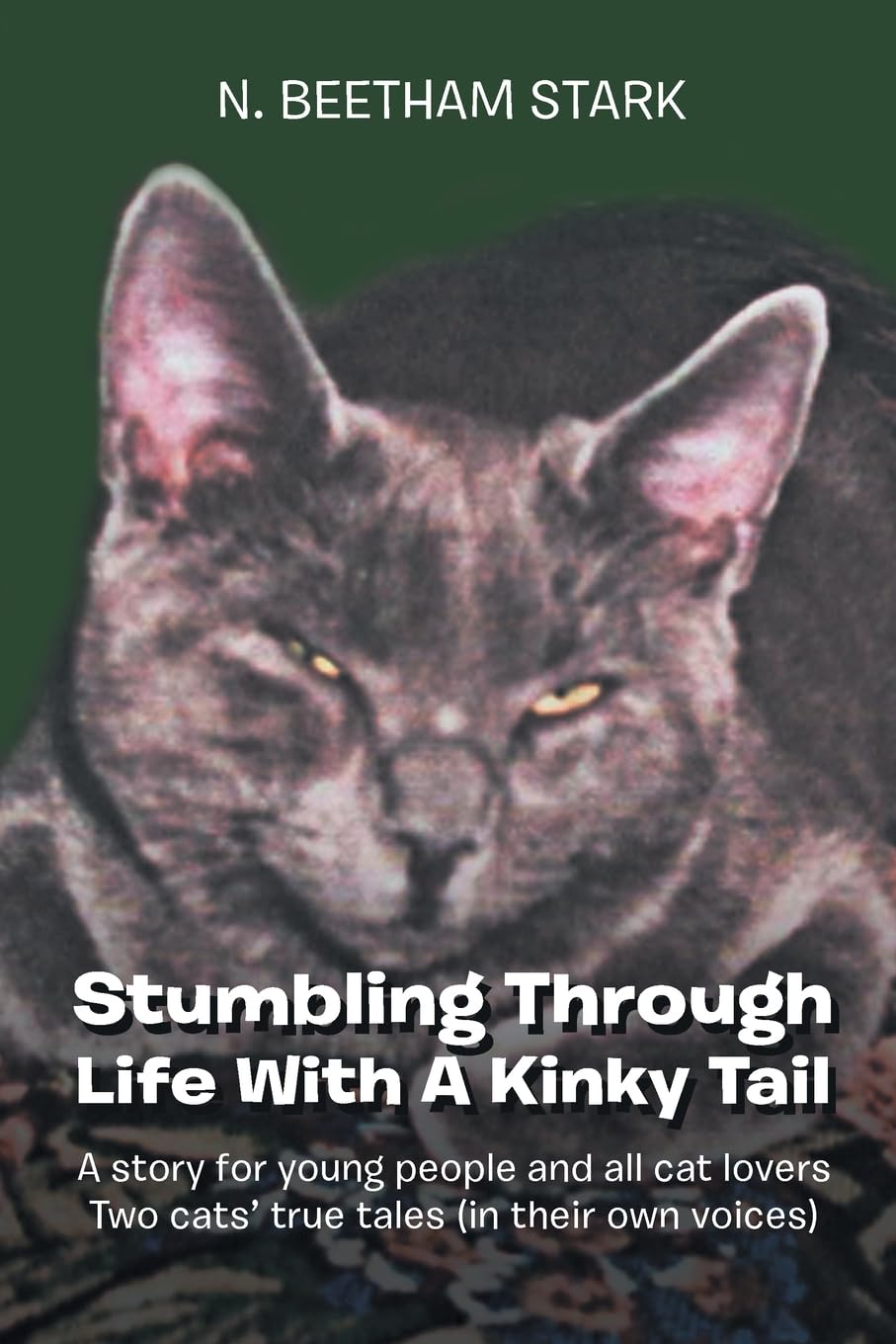 Stumbling Through Life With A Kinky Tail: A story for young people and all cat lovers Two cats true tales (in their own voices) baixar livro de graça