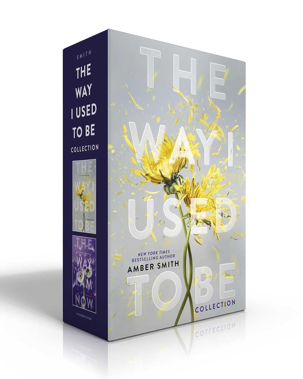The Way I Used to Be Collection (Boxed Set): The Way I Used to Be; The Way I Am Now baixar livro de graça