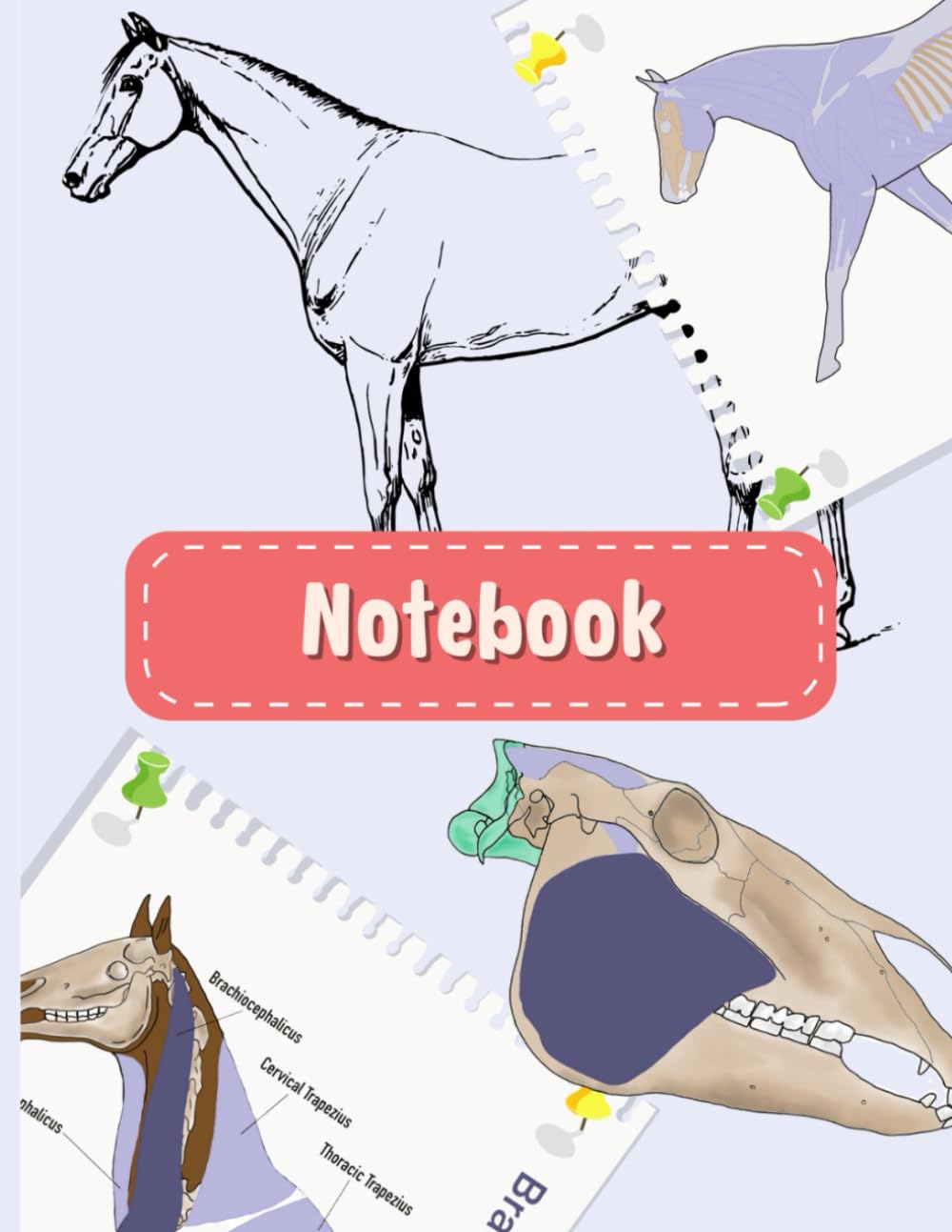 ler totalmente Horse Anatomy Themed Notebook – 110 Lined Pages – Journal for Equine Studying, Notes & Horse Lovers: Horse anatomy inspired cover perfect for students and professionals