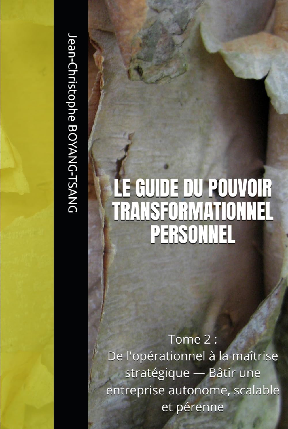LE GUIDE DU POUVOIR TRANSFORMATIONNEL PERSONNEL: Tome 2: De l'opérationnel à la maîtrise stratégique — Bâtir une entreprise autonome, scalable et pérenne (French Edition) baixar livro de graça