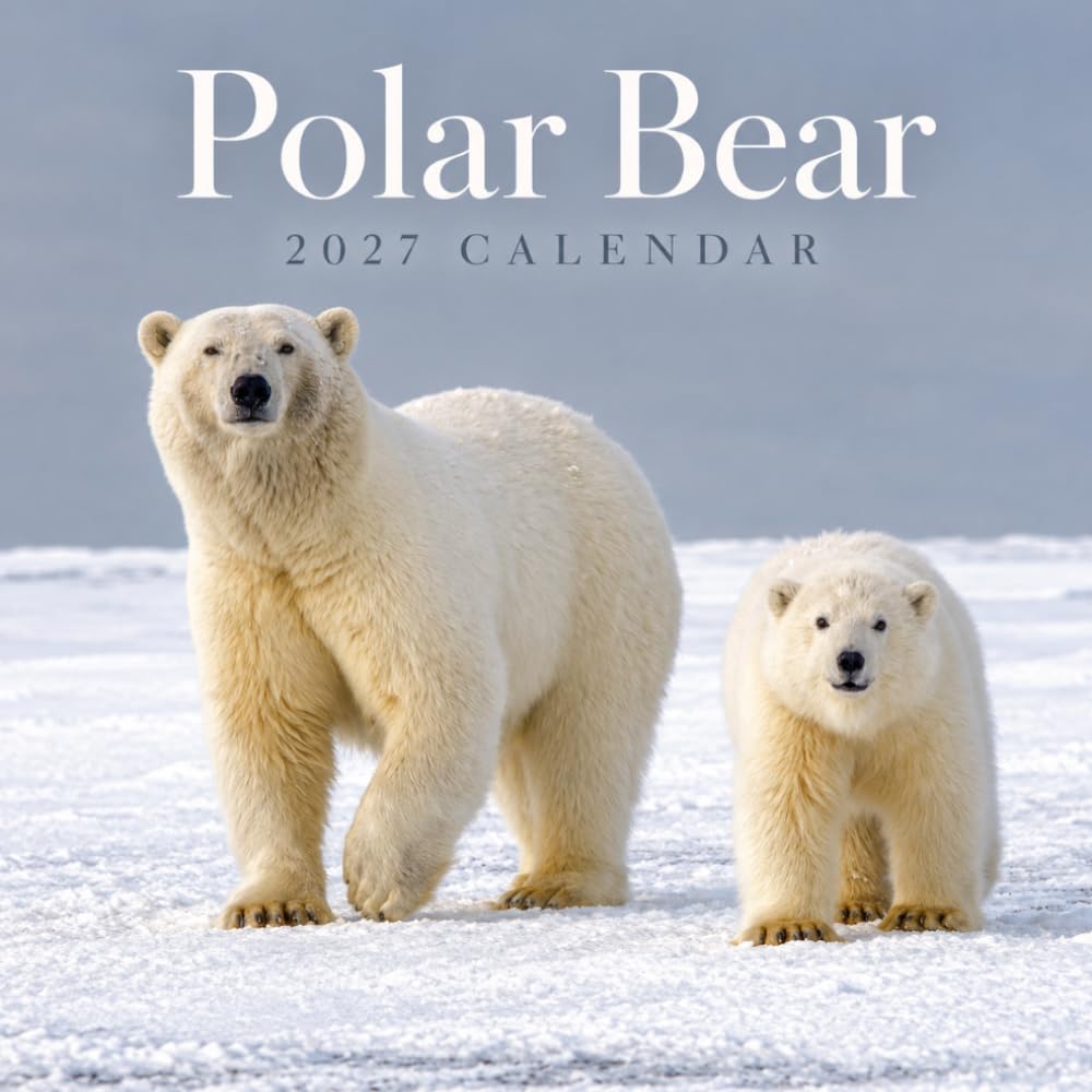 Polar Bear Calendar 2027: Arctic Wildlife Photography baixar o livro de graça