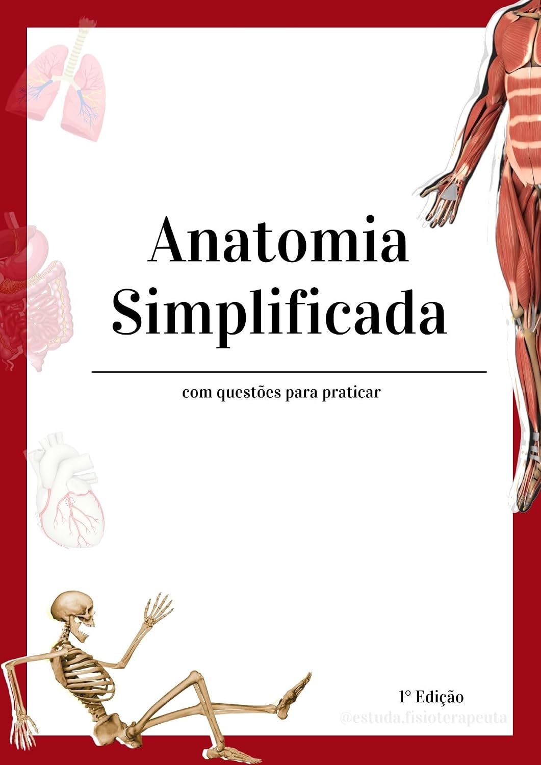 capítulo por capítulo baixar Anatomia Simplificada: Esquematizado, ilustrado e com perguntas