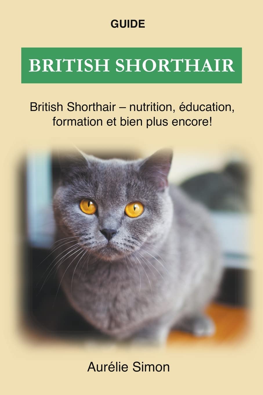 ler totalmente British Shorthair - Nutrition, Education, Formation