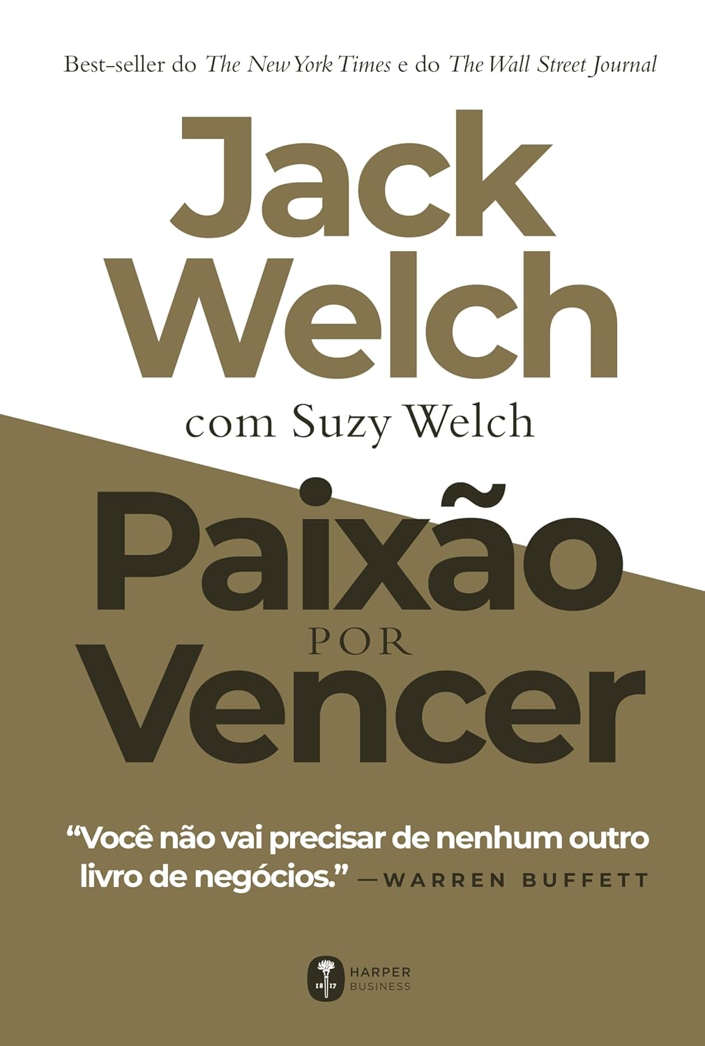 Paixão por vencer baixar livro de graça