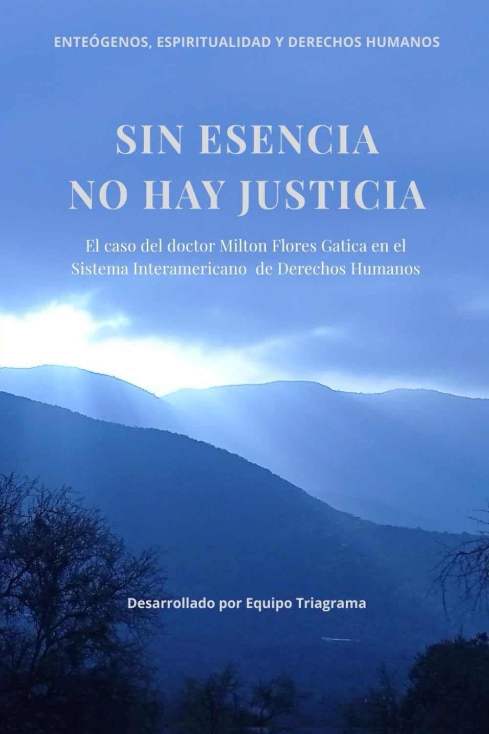ler totalmente Sin esencia no hay Justicia - Full Color: El caso del doctor Milton Flores Gatica en el Sistema Interamericano de Derechos Humanos (Spanish Edition)