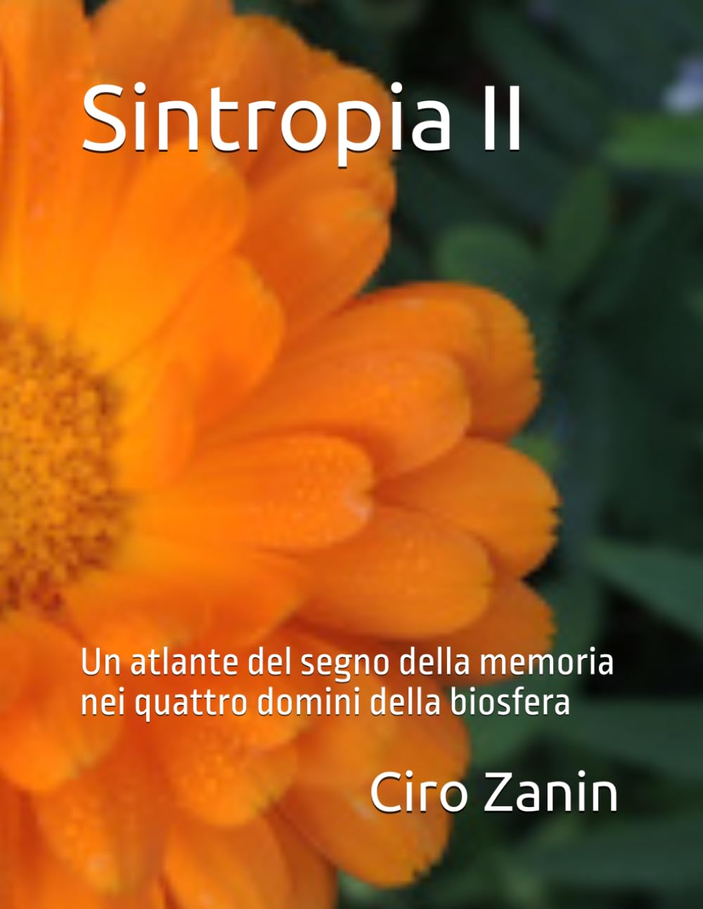 Sintropia II: Un atlante del segno della memoria nei quattro domini della biosfera (Il Capitale Vivente) (Italian Edition) baixar o livro de graça