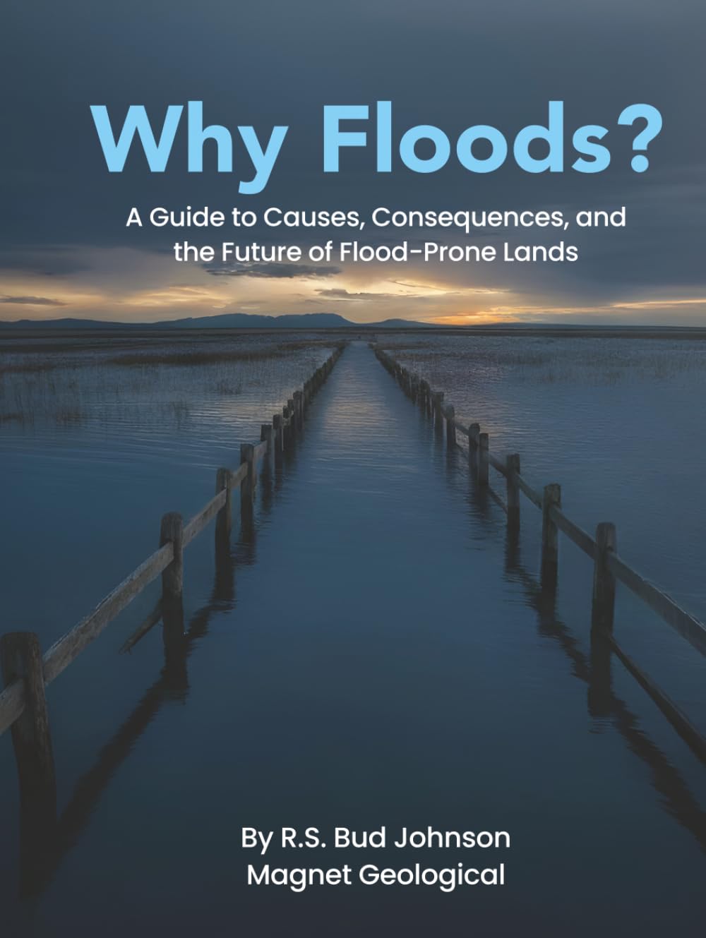 ler totalmente Why Floods?: A Guide to Causes, Consequences, and the Future of Flood-Prone Lands