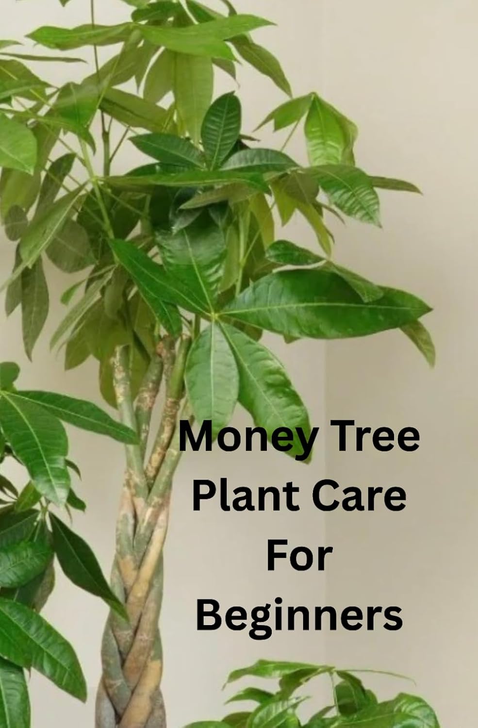 Money Tree Plant Care For Beginners: A Step-by-Step Guide to Growing, Caring for, and Maintaining a Healthy Money Tree. Everything You Need to Know to Grow a Thriving Money Tree at Home baixar livro de graça