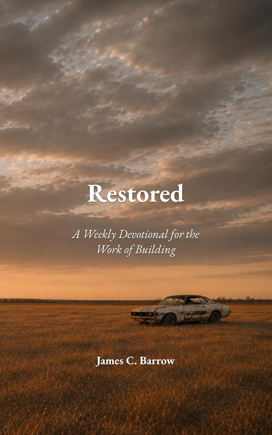 Restored: A Weekly Devotional for the Work of Building baixar o livro de graça