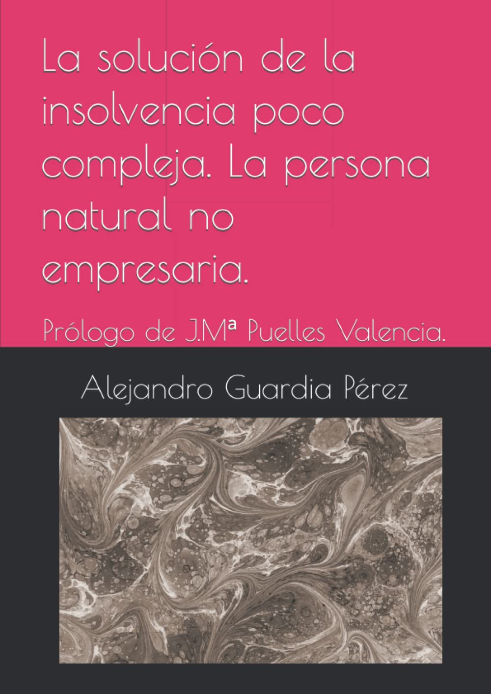 La solución de la insolvencia poco compleja. La persona natural no empresaria.: Prólogo de J.Mª Puelles Valencia. (Spanish Edition) baixar livro de graça