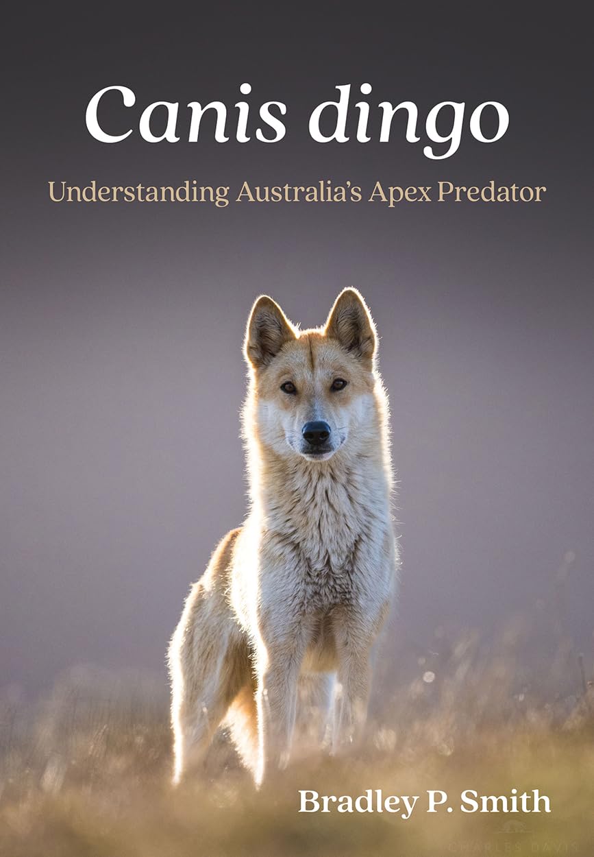 Canis dingo: Understanding Australia’s Apex Predator (English Edition)