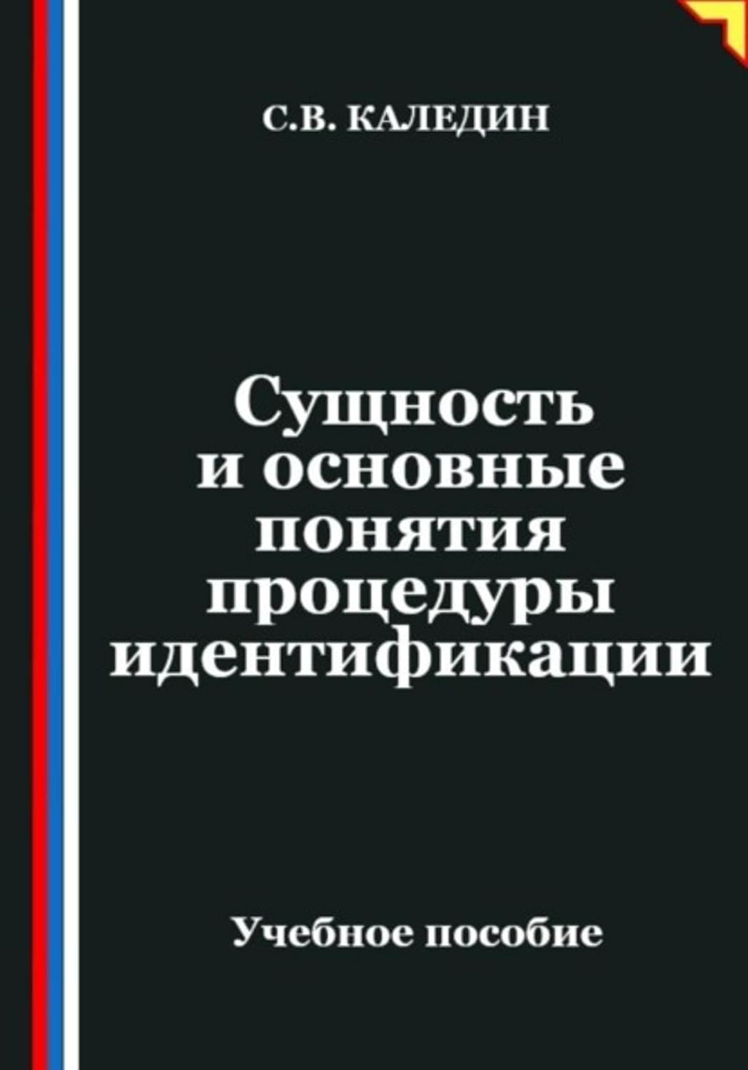Сущность и основные понятия процедуры идентификации (Russian Edition) baixar o livro de graça