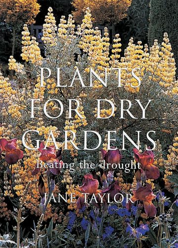 Plants for Dry Gardens: Beating the Drought