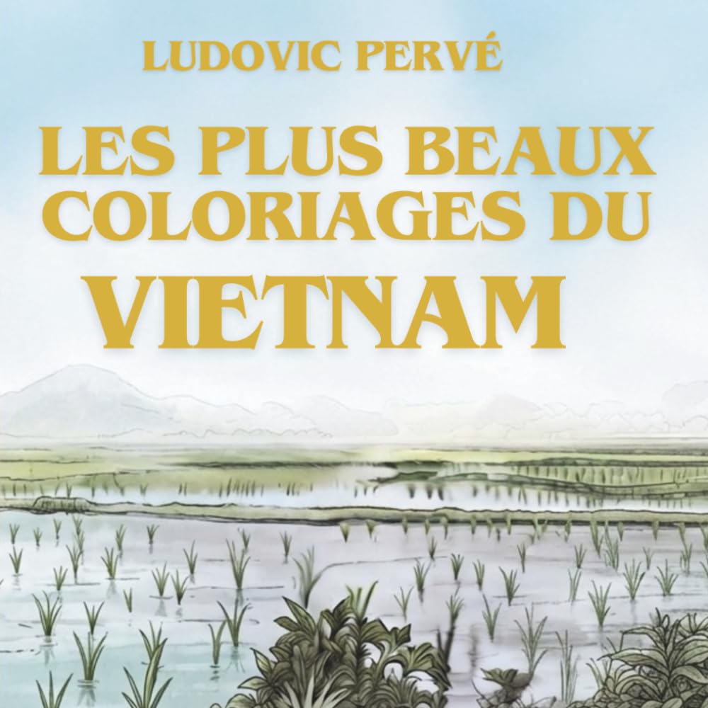 LES PLUS BEAUX COLORIAGES DU VIETNAM: Carnet de voyage créatif et anti-stress — Nouvelle édition enrichie d'anecdotes et de trésors culturels vietnamiens. (French Edition) baixar livro de graça