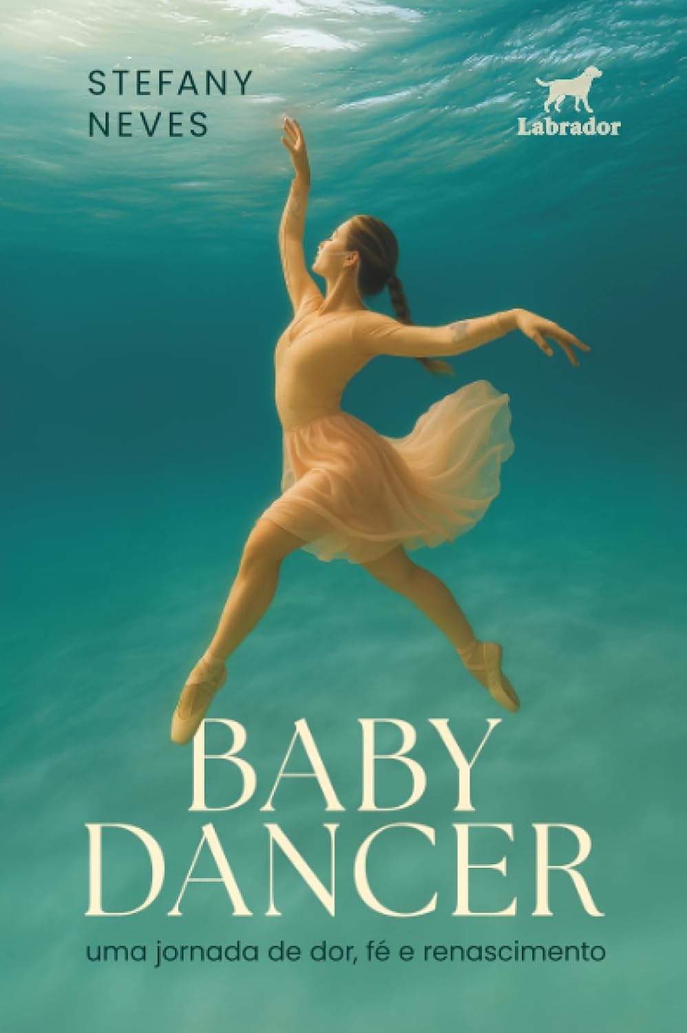 ler totalmente Baby dancer: uma jornada de dor, fé e renascimento