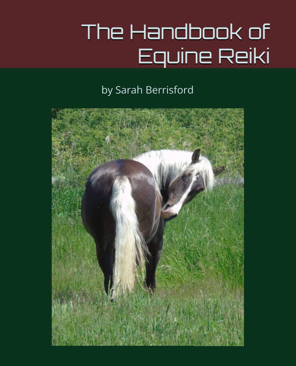 capítulo por capítulo baixar The Handbook of Equine Reiki
