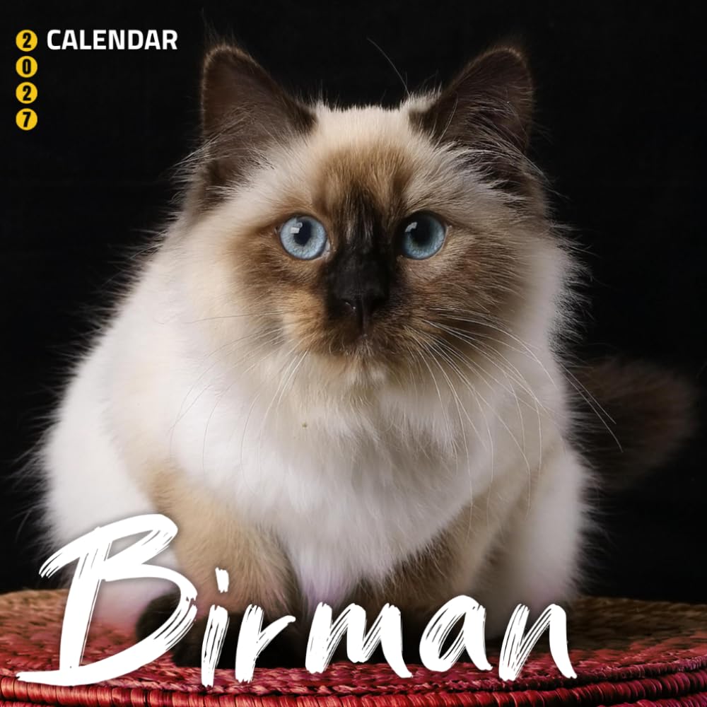capítulo por capítulo baixar Birman Cats Calendar 2027: Fluffy Coats and Graceful Feline Photography