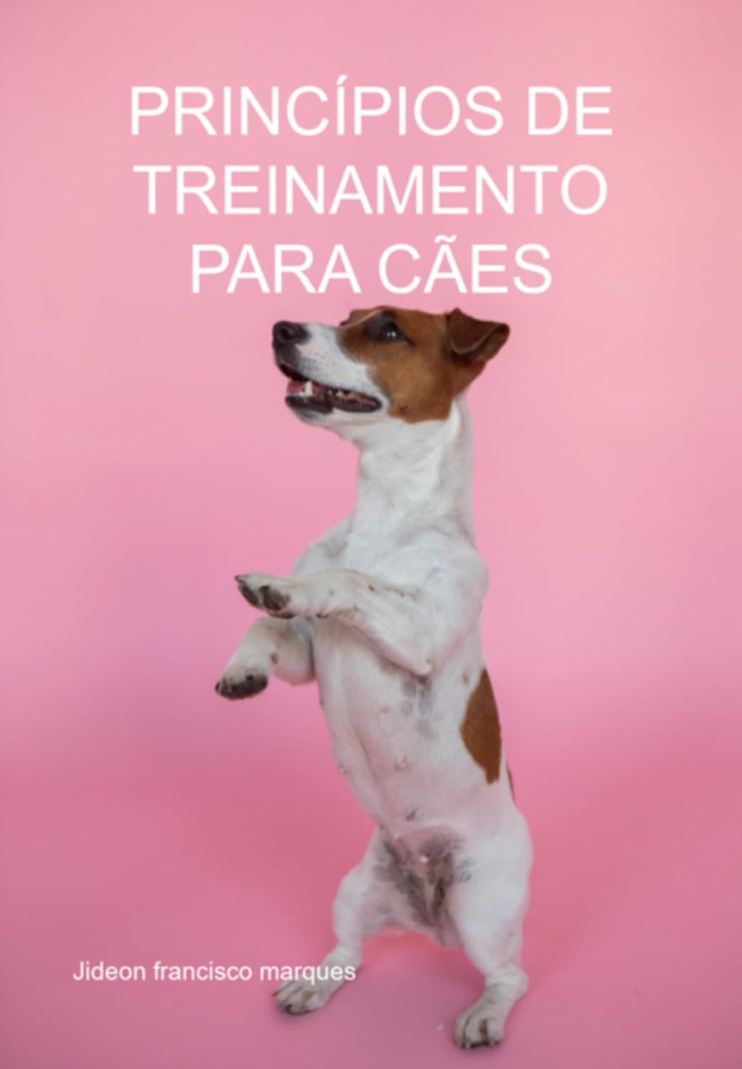 Princípios De Treinamento Para Cães baixar livro de graça