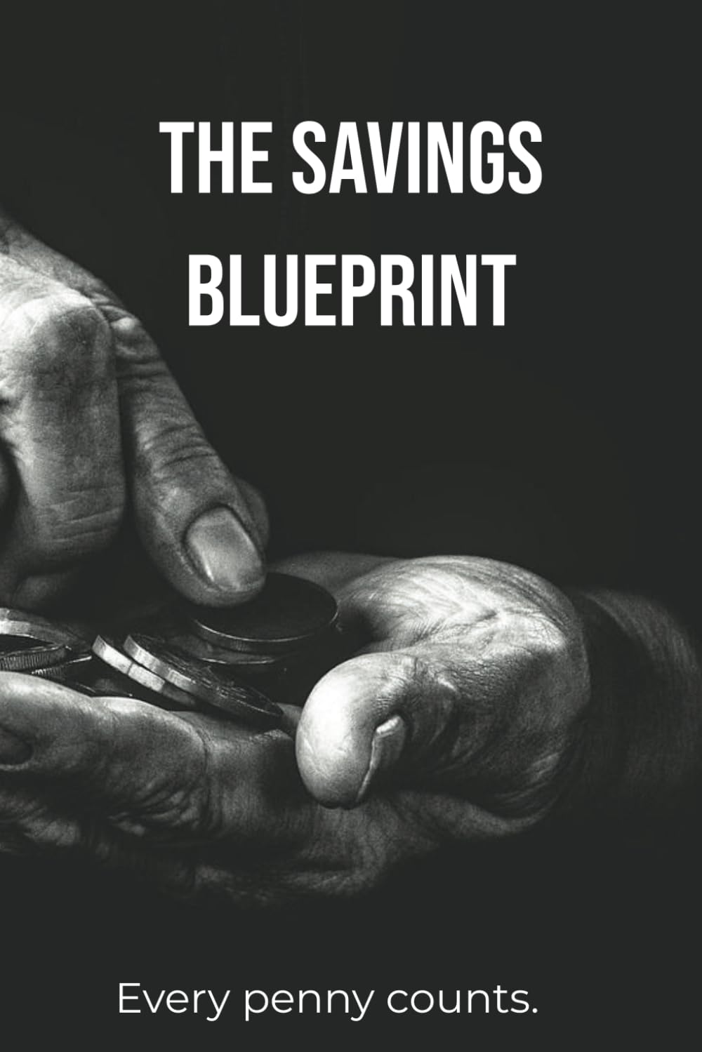 THE SAVINGS BLUEPRINT: Organize, Save, and Achieve with Confidence baixar livro de graça