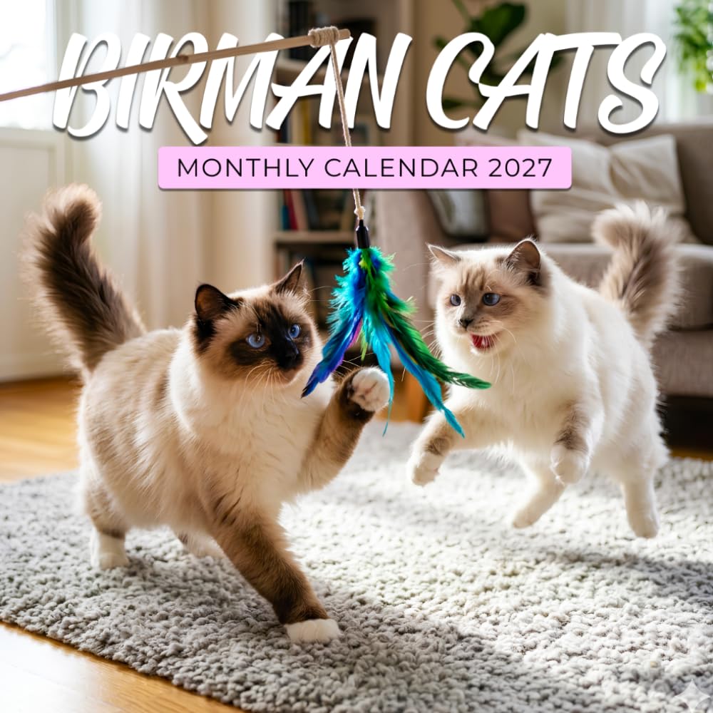 ler totalmente Birman Cats 2027 Calendar: Silky Coats, Gentle Faces & Charming Feline Moments