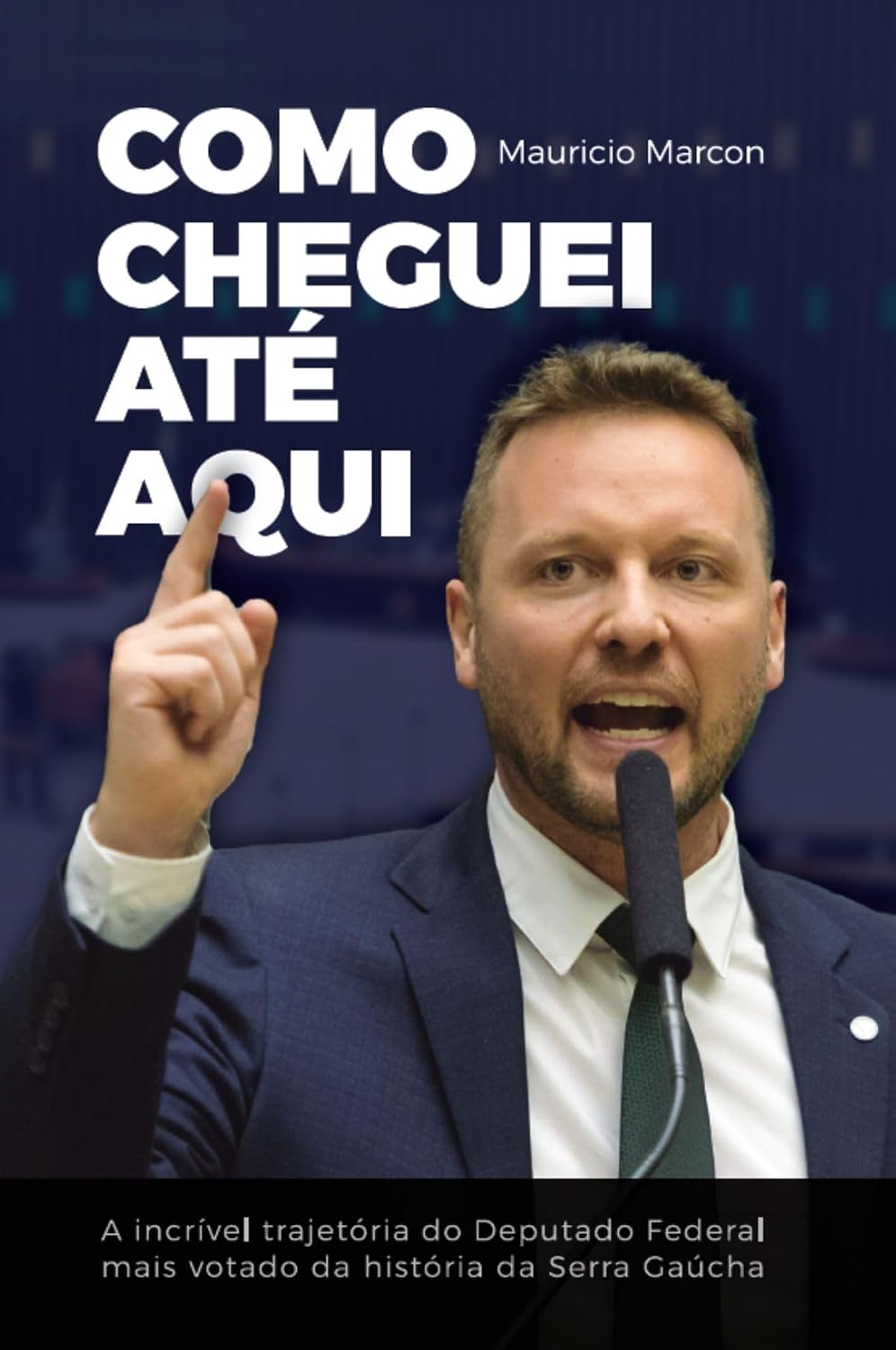Como Cheguei Até Aqui baixar livro de graça