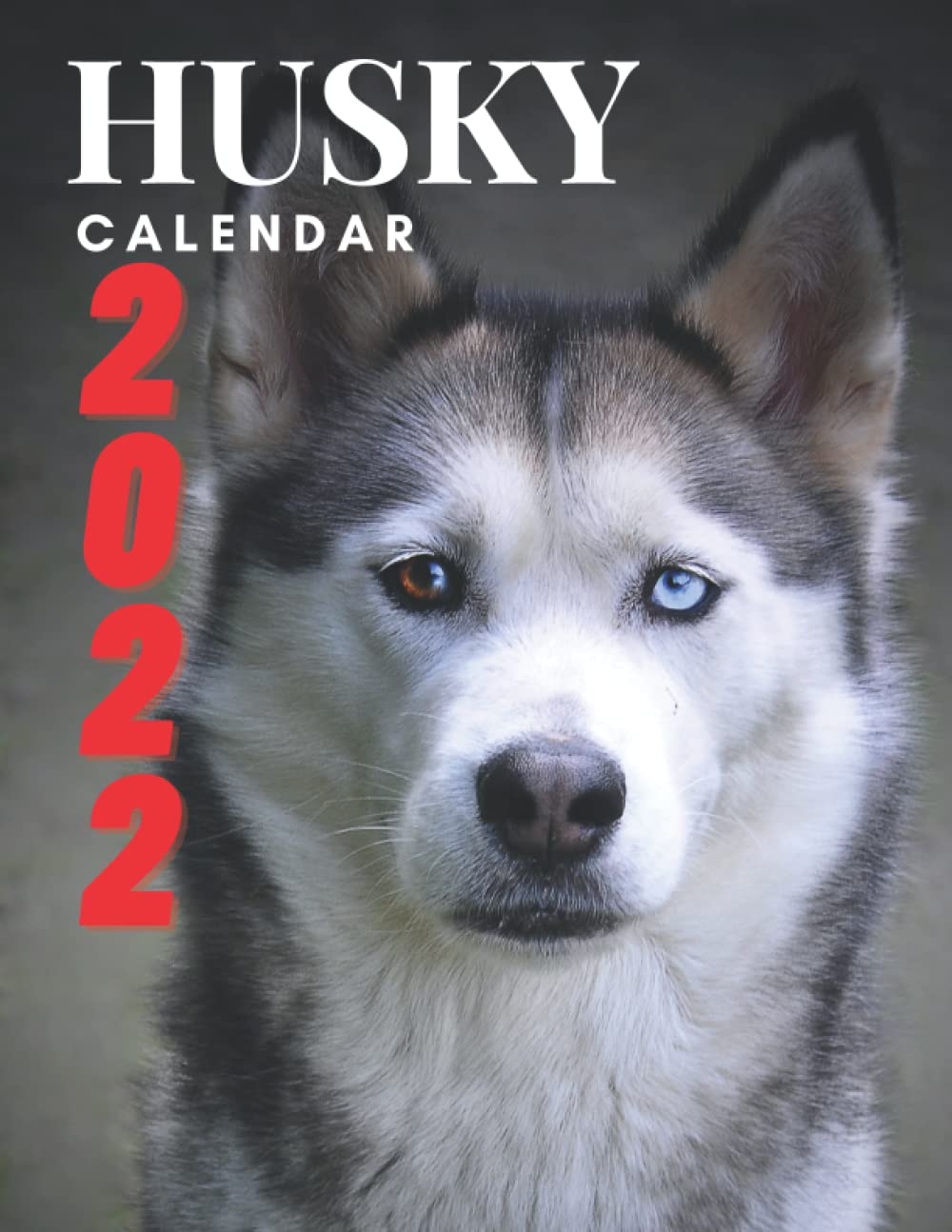 ler totalmente HUSKY calendar 2022: monthly planner with a cute picture for every month gift idea for siberian husky lovers calendar 2021-2022 with high quality Home & Office Calendar 12 month