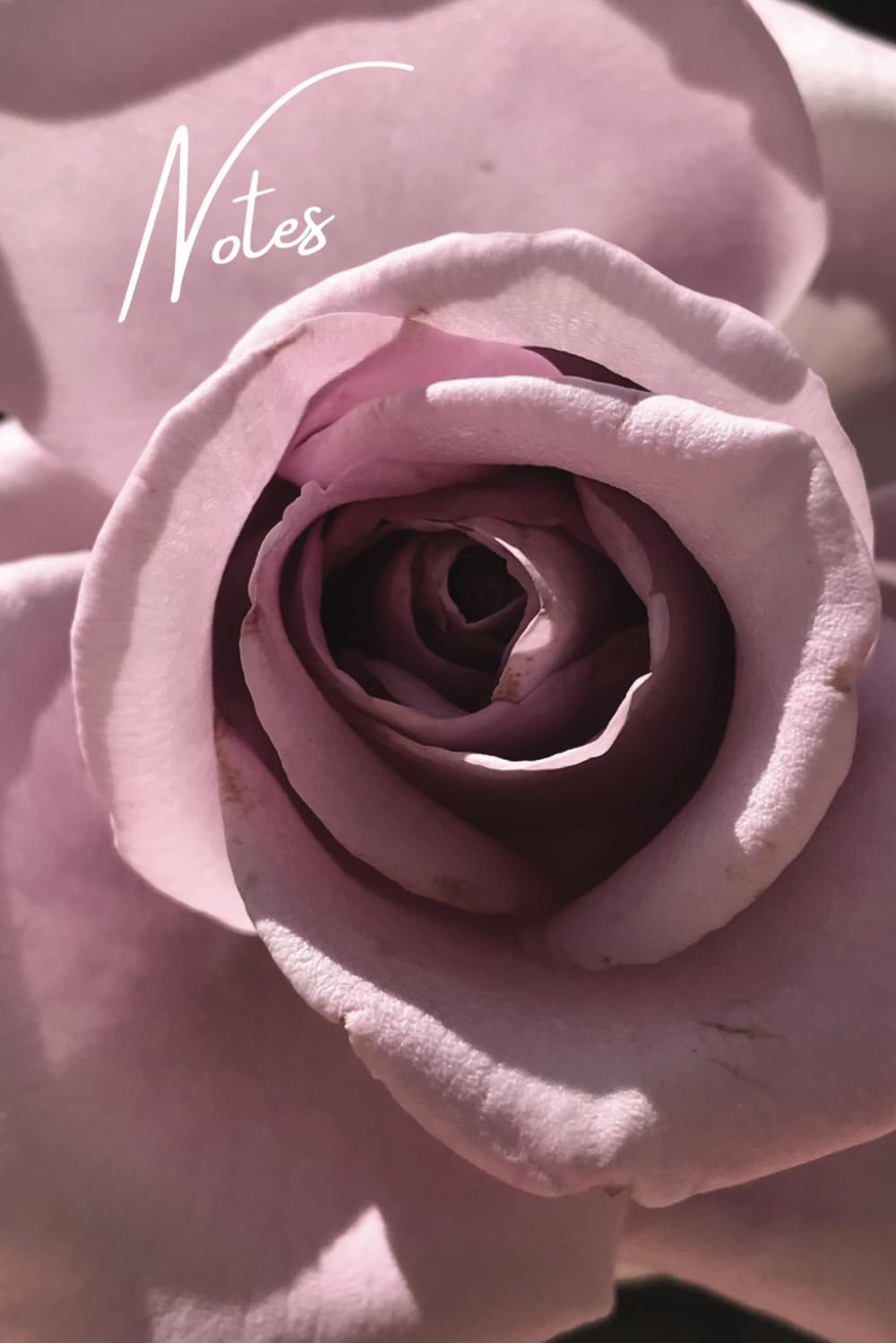 Nature Notebook: Pretty Pink Rose; College Ruled Notebook, Circle Date Header, 6 x 9 in., 200 pages, For kids, teens, women, and more. baixar livro de graça