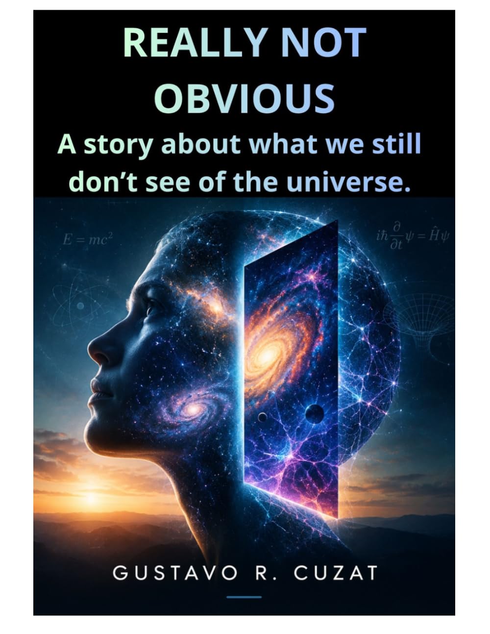 REALLY NOT OBVIOUS: a story about what we still can't see of the universe baixar o livro de graça