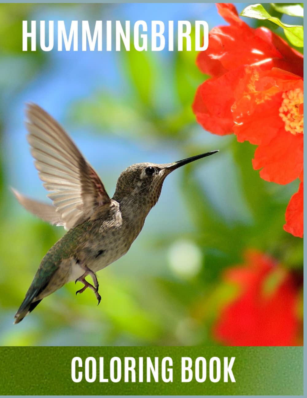 Hummingbird Coloring Book: An Adult Coloring Book For Relaxation And Stress Relief | Bird Coloring Books | Features Coloring & Sketching Pages, Beautiful Flowers, Nature Scenes & Cute Hummingbirds baixar o livro de graça