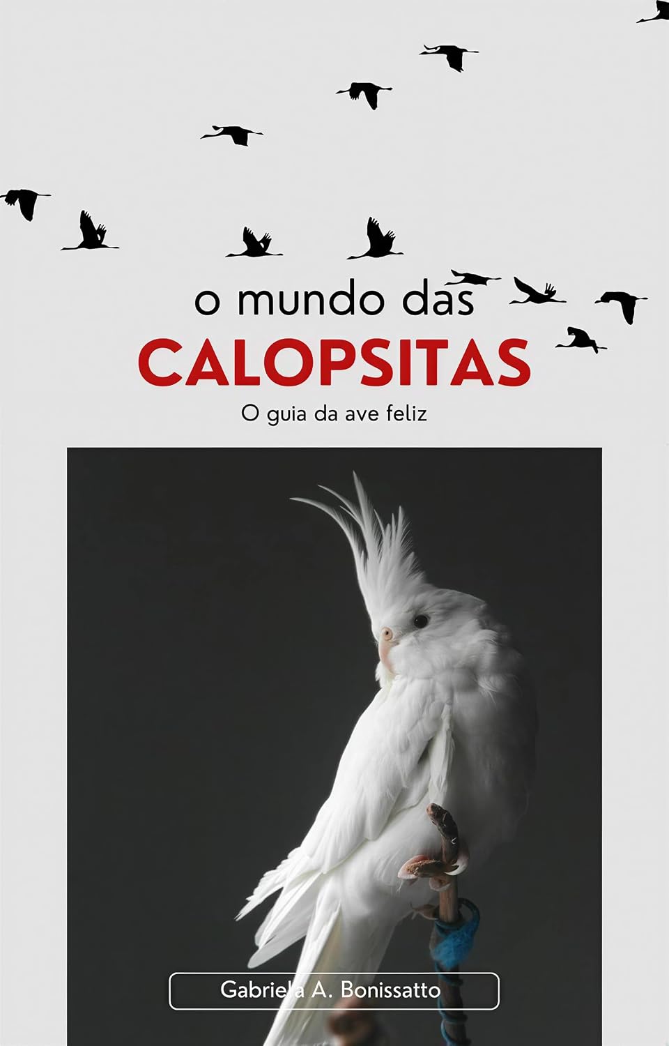 O mundo das calopsitas: O guia da ave feliz baixar o livro de graça
