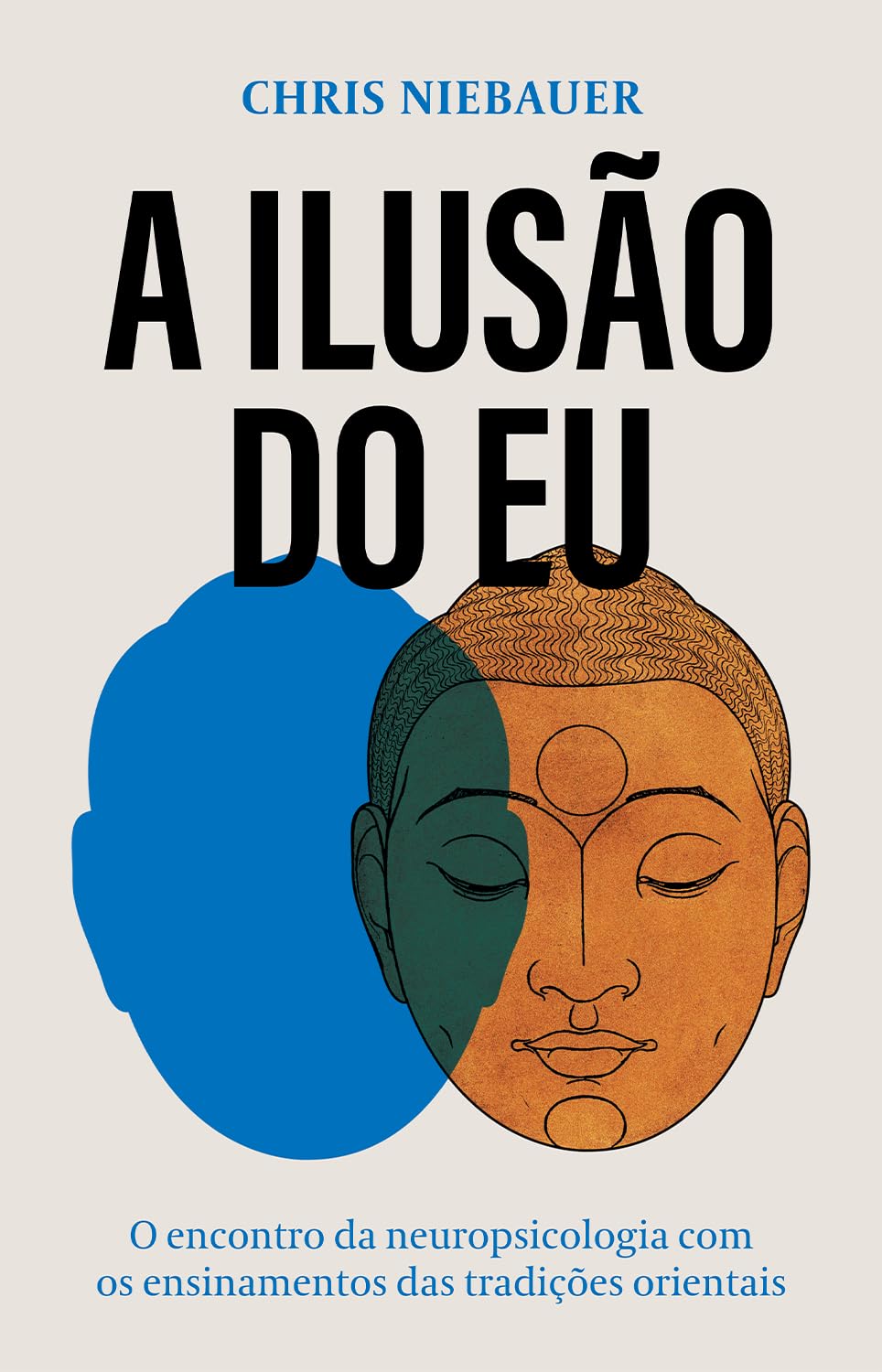 A ilusão do eu: O encontro da neuropsicologia com os ensinamentos das tradições orientais baixar o livro de graça