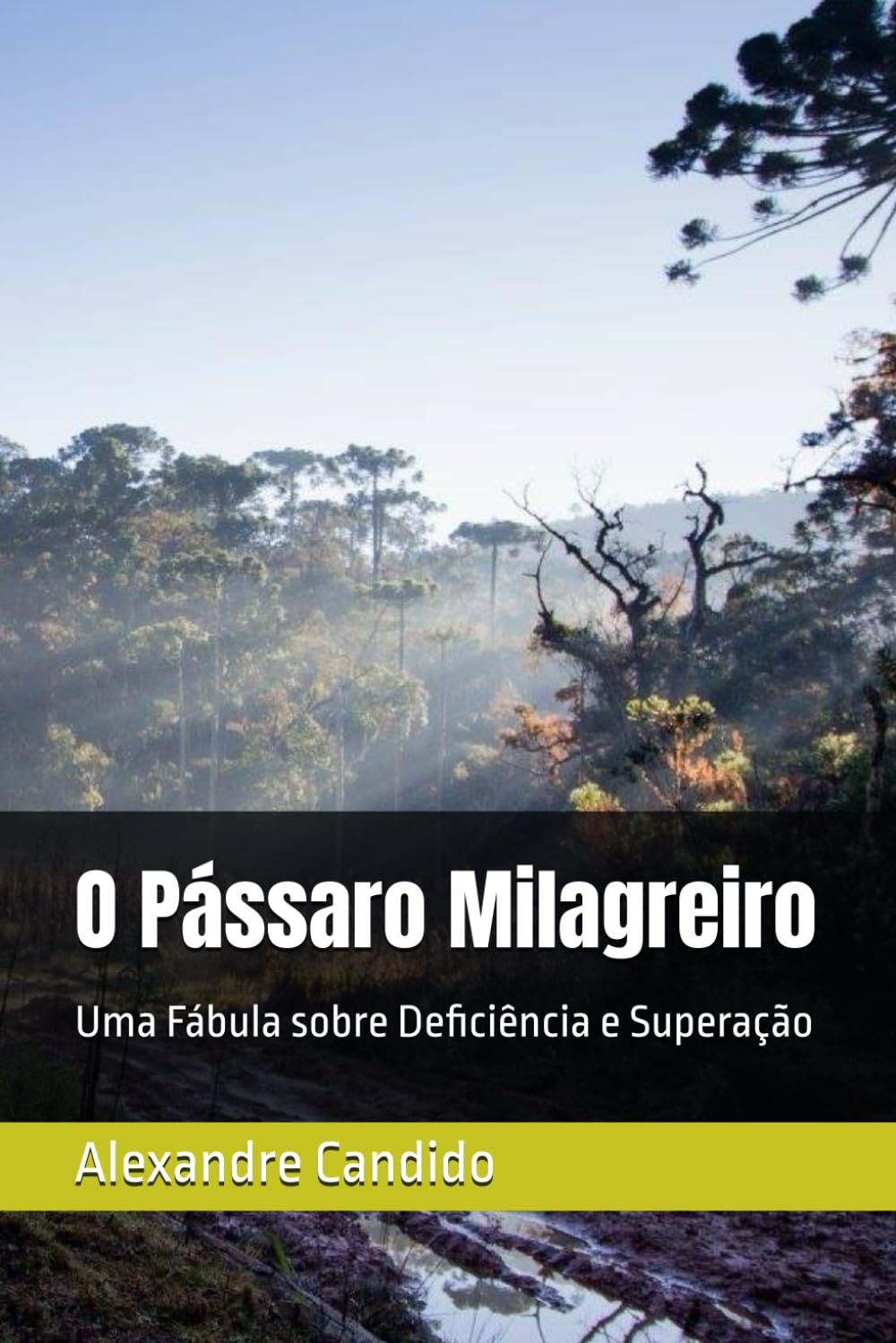 ler totalmente O Pássaro Milagreiro: Uma Fábula sobre Deficiência e Superação (Fábulas dos Dias Atuais) (Portuguese Edition)