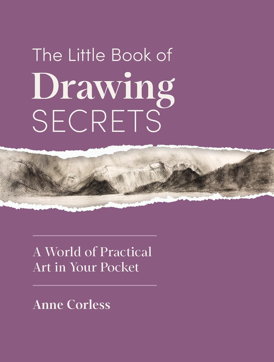 The Little Book of Drawing Secrets: A World of Practical Art in Your Pocket (English Edition)