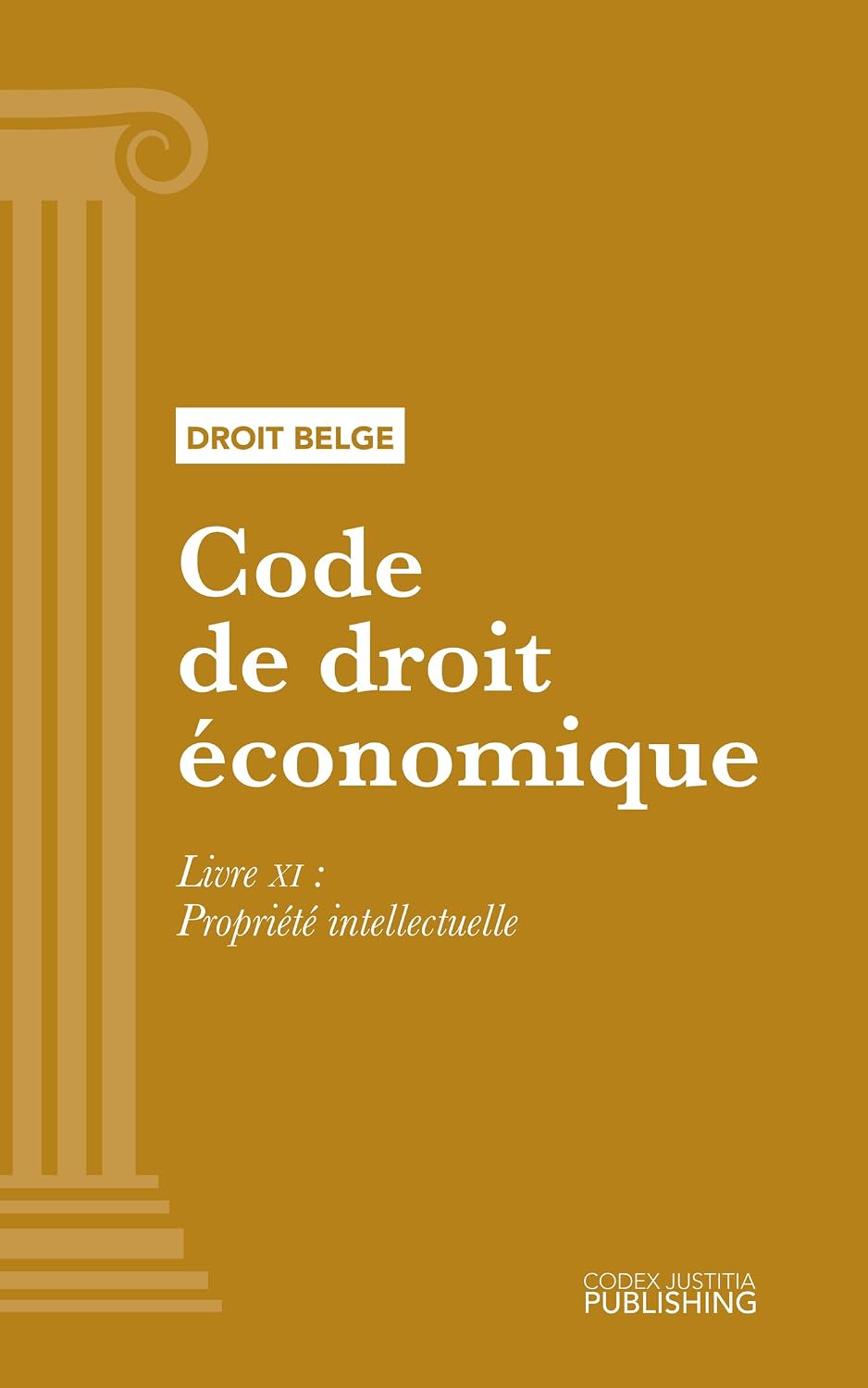 Code de droit économique: Livre XI - Propriété intellectuelle (French Edition) baixar o livro de graça