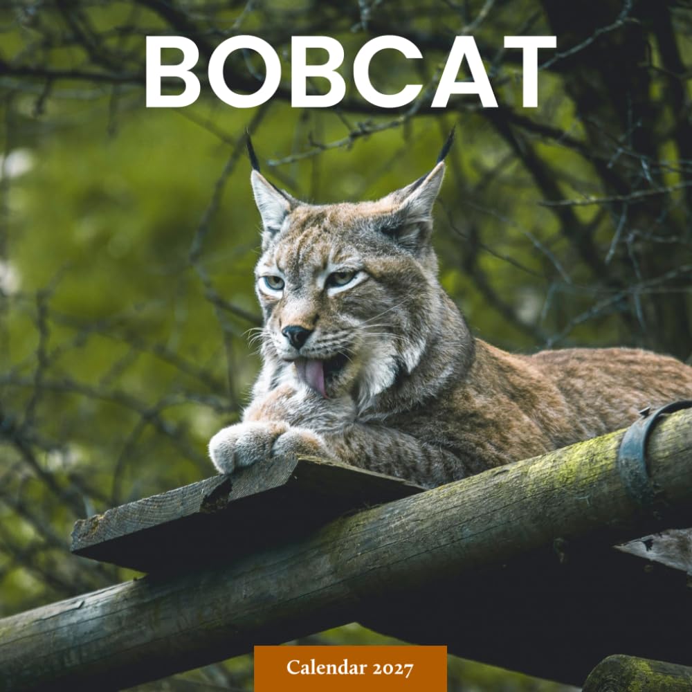 Bobcat and Lynx Calendar 2027: Wild Cat Photography baixar o livro de graça
