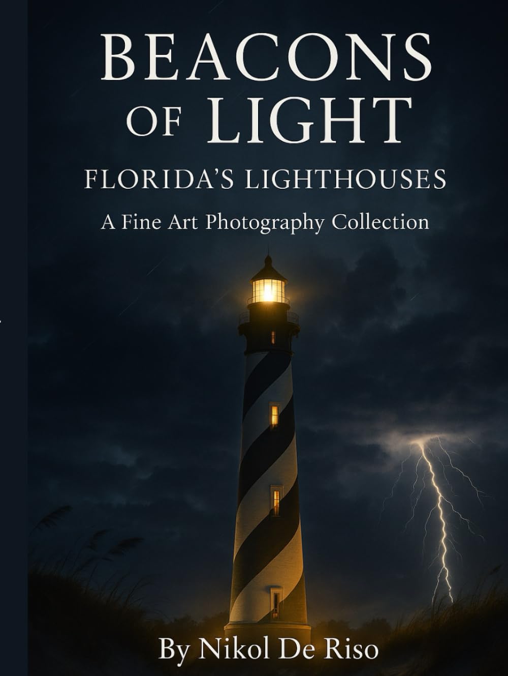 ler totalmente Beacons of Light: Florida's Lighthouses (Echos of Life: A Photography Series)