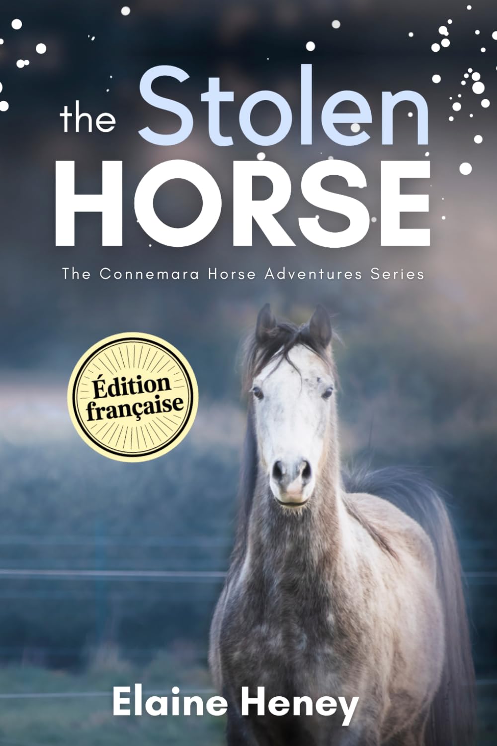 The Stolen Horse - Édition Française: The Connemara Horse Adventures Series (Les Aventures du Connemara – Édition française) (French Edition) baixar livro de graça