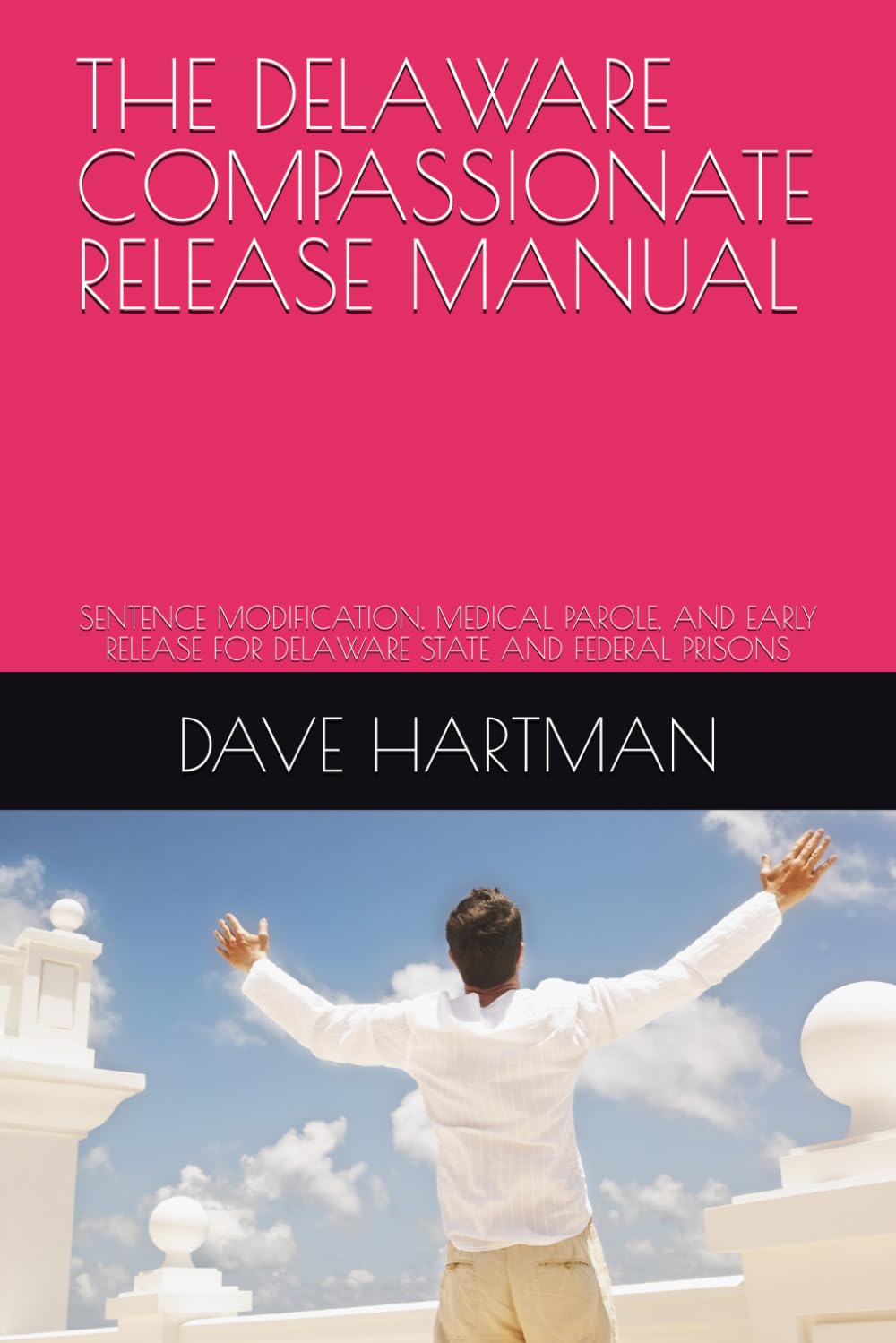 The Delaware Compassionate Release Manual: Sentence Modification, Medical Parole, and Early Release for Delaware State and Federal Prisons baixar livro de graça