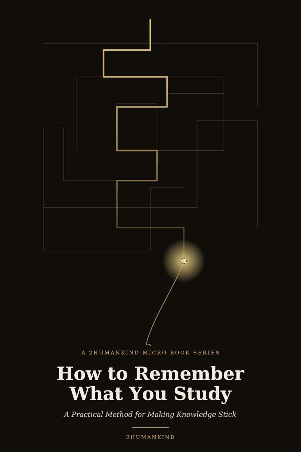 ler totalmente How to Remember What You Study: A Practical Method for Making Knowledge Stick (MICRO-BOOK SERIES) (English Edition)