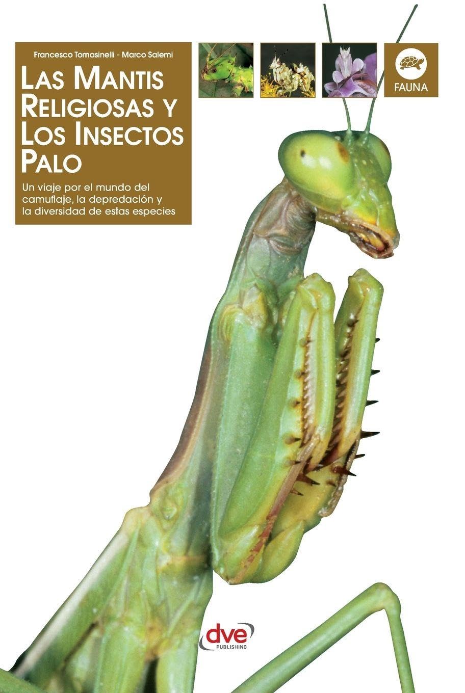 Las Mantis religiosa y los insectos palo: Un viaje por el mundo del camuflaje, la depredación y la diversidad de estas especies baixar o livro de graça