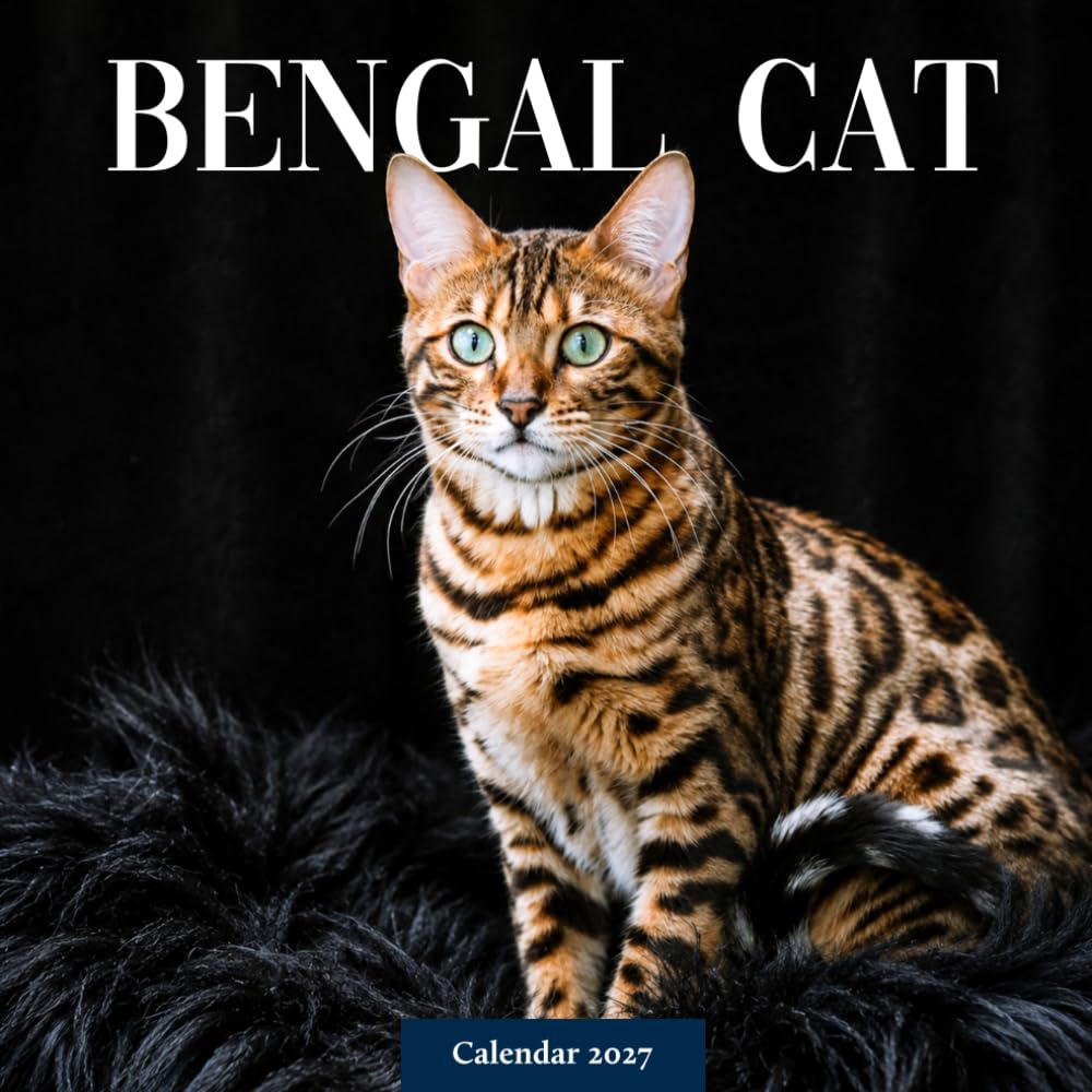 Bengal Cats Calendar 2027: Spotted Cat Photography