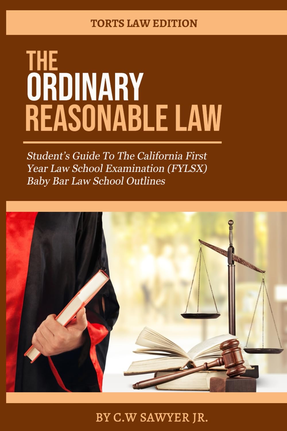 The Ordinary Reasonable Law Student's Guide To the California First Year Law School Examination baixar livro de graça